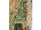Alfalfa delivered by the ton