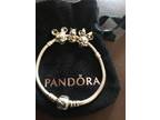 Pandora Bracelet
