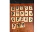 2018-2019 tim hortons hockey cards