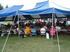 3 commercial tents 38 x 58
