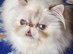Barbara