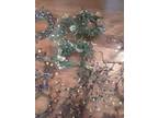 Primitive Berries garlands and candle rings
