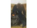 DAVIDE CENCI!!!!! Fur coat