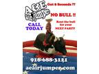 Mechanical Bull Rental