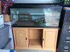 Fish Tank w/ Stand
