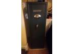 Sentry gun safe rifle shotgun