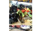 Military - Rescue Rappelling Gear