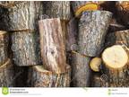 Large Wood Logs/Stumps, Dried Floral & Chili Wreaths, & Pine Cones for Sale
