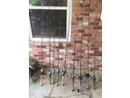 fishing rods and reels