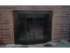 Fireplace doors
