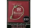 Pandora Bracelet with Charms