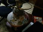 antique lamp