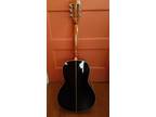 Guitar washber
