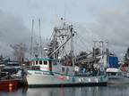 1973 Pelagic Pacific Industries Packer / Tender, Longliner Boat for Sale