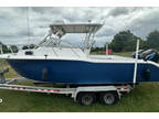 2003 Sea Pro 255 WA