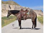 Ranch horse deluxe