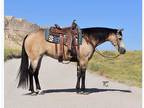 Buckskin daughter of Mobster!