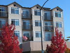 $300 Off 1st Month & Credit FREE***Studio-NEW CARPET*DOWN TOWN LIVING, GA...