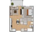 Arden at Huntersville - 55+ Active Adult - Acacia