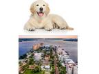 161 Golden Gate Point #2, Sarasota, FL 34236