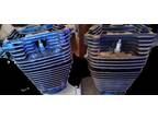 1200 Sportster Jugs and Heads