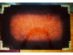 Rare Antique Asian Burl Campaign Tansu Chest