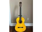 Takamine G-124S Classical Guitar w/hard case