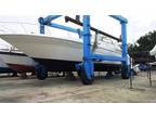 Sea Ray Sundancer