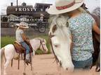 Safe Trail Kids Driving Pony