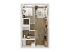 Rivulet - Washington