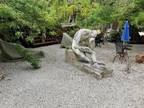 617 Mangrove Point Rd #B, Sarasota, FL 34242