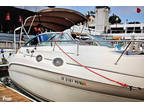 1999 Sea Ray 260 Sundancer