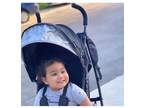 Jeep PowerGlyde Stroller by Delta Children