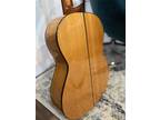 Cordoba guitar F10