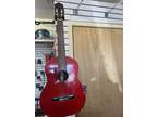 DiGiorgio From Brazil Acoustic Classical Guitar