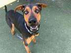 Adopt FUTI a Pointer