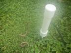 WORM SHOCKER! EARTHWORM for fishing ((doble probe))