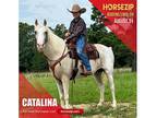 Catalina - [url removed]