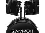 5 PC Adult Drum Set, Full Size Beginner Percussion Kit with Stool and Stands