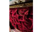Rosewood?Mahogany? ~1825 writing box w Sheffield plate glass jars & nib flint