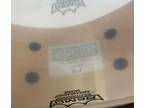 Pearl Masters Birdseye Maple SST Shell. Free Shipping