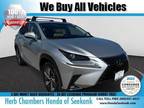 2019 Lexus NX 300 Base 4dr All-Wheel Drive