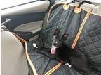Kimmy Labrador Retriever Puppy Female