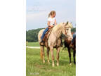  [url removed] KID BROKE APPALOOSA