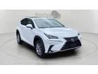 2021 Lexus NX 300h 300H