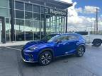 2021 Lexus NX 300 F Sport