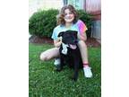 Adopt PATTY a Labrador Retriever, Mixed Breed