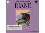 Adopt Diane a Brindle Plott Hound dog in Gilbertsville, PA (40144190)