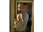 Adopt Gaby a Black & White or Tuxedo American Shorthair / Mixed (short coat) cat