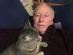 Adopt Cheui a Gray, Blue or Silver Tabby American Shorthair / Mixed (short coat)